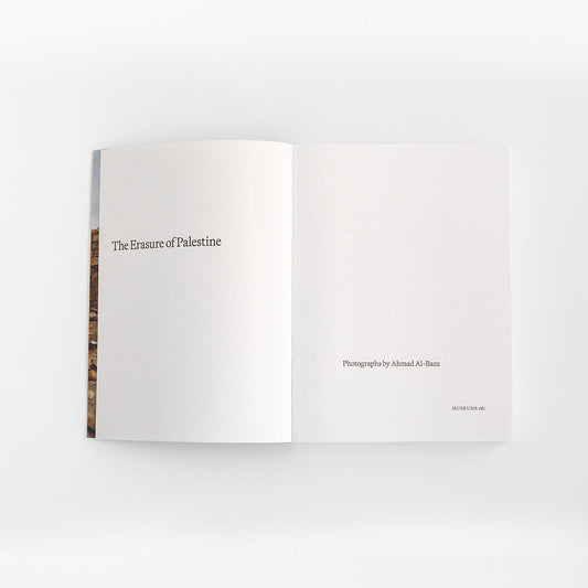 The Erasure of Palestine